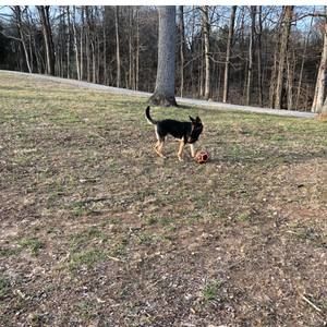 Meet your Posher, Cody